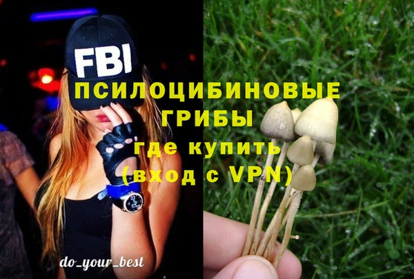 СК Белокуриха