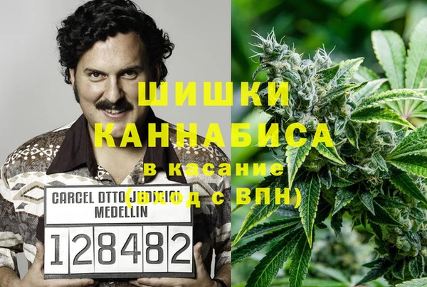 СК Белокуриха