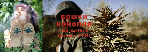 СК Белокуриха