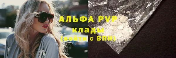 СК Белокуриха